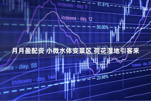 月月盈配资 小微水体变景区 荷花湿地引客来