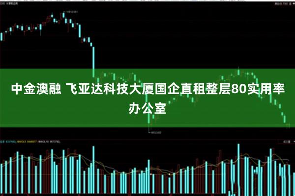 中金澳融 飞亚达科技大厦国企直租整层80实用率办公室