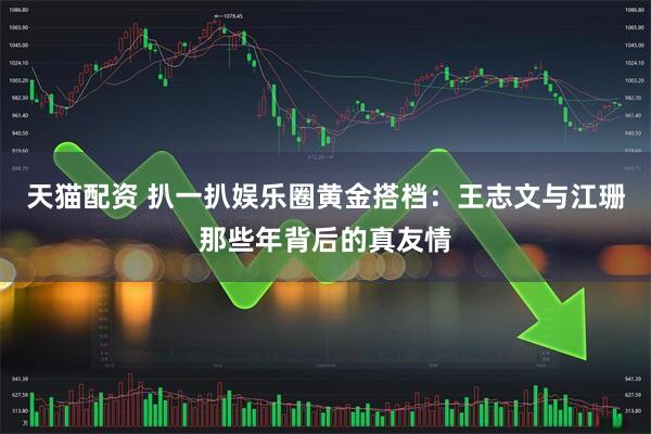 天猫配资 扒一扒娱乐圈黄金搭档:王志文与江珊那些年背后的真友情