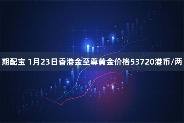 期配宝 1月23日香港金至尊黄金价格53720港币/两